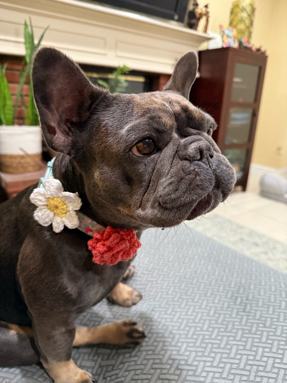 Brand New Hand Crochet Two Flower Embellishments For Dog/Cat Collar White &Coral